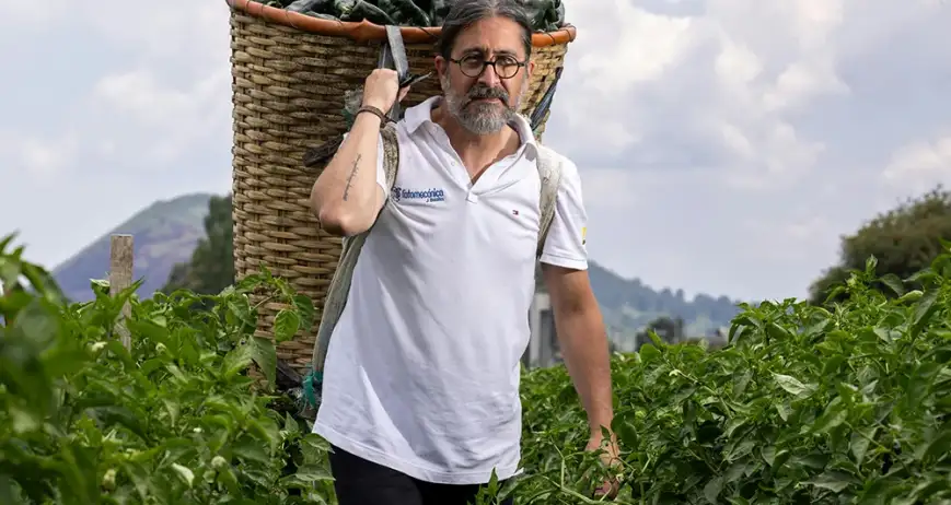 Organic farms avoid toxic inputs, improve soil health, grow clean, sustainable food that supports nature.