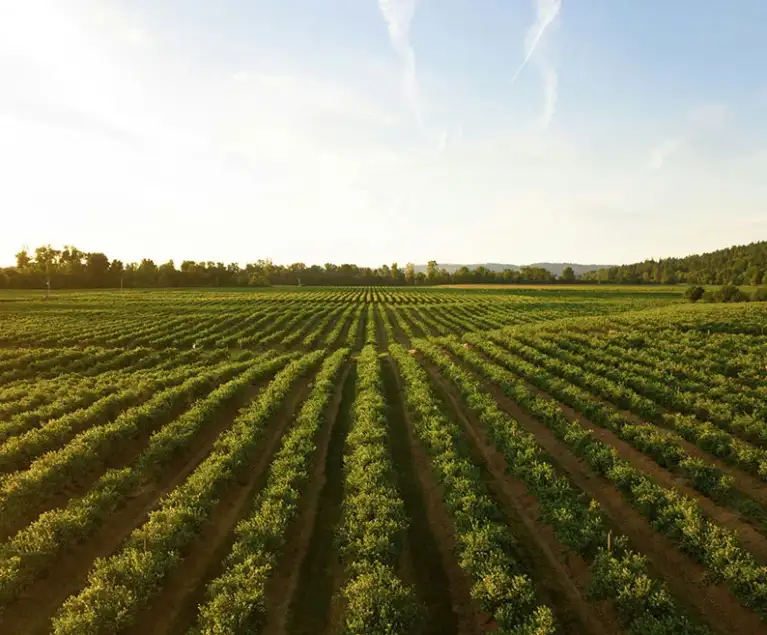 There are many variations of passages of Lorem Ipsum available, but majority have suffered teration in some form, by injected humour, or randomised words which don't look even slight believable. If you are going to use a passage of Lorem Ipsum.