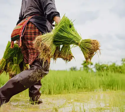 There are many variations of passages of Lorem Ipsum available, but majority have suffered teration in some form, by injected humour, or randomised words which don't look even slight believable. If you are going to use a passage of Lorem Ipsum.