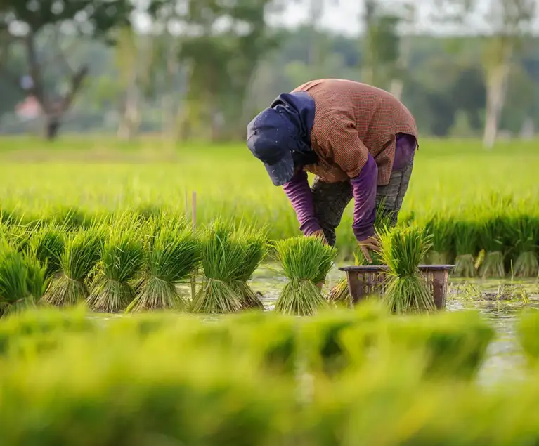 Accelerate innovation with world-class tech teams We’ll match you